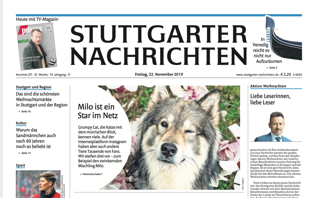 Titelseite der Stuttgarter Nachrichten Petfluencer Milo verwolft