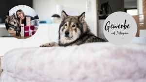 Gewerbe für Instagram anmelden